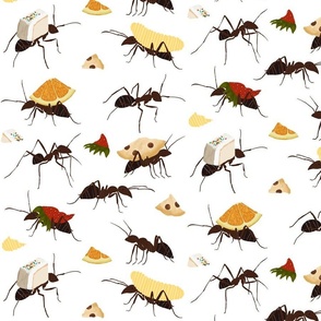 Ants with Snacks