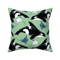 Orcas and Rays on Green - Cheerful Ocean Creatures Coordinate - Medium