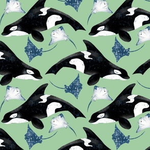 Orcas and Rays on Green - Cheerful Ocean Creatures Coordinate - Medium