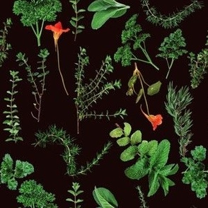 Herbs in Black