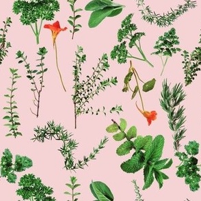 Garden Herbs