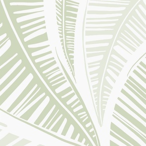 Serene Palm Leaves, extra large scale
