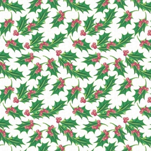 christmas holly on white