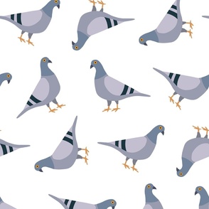 pigeon pattern LARGE