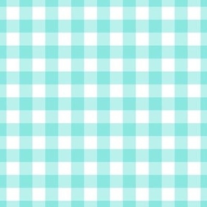 Half Inch Squares, Beautiful Teal and White Gingham Plaid