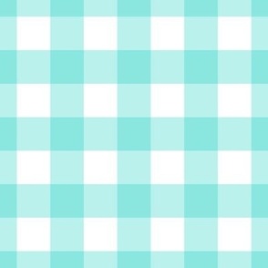 1-Inch Squares, Beautiful Teal and White Gingham Plaid