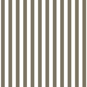 1/4 inch Candy Stripe in mushroom brown and white  0.25 inch - 56