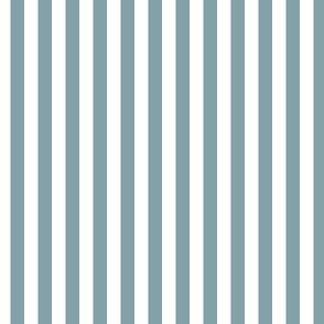 1/4 inch Candy Stripe in spruce blue and white  0.25 inch - 66