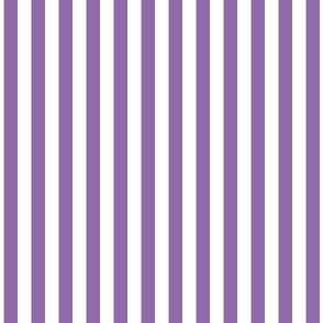 1/4 inch Candy Stripe in candy purple and white  0.25 inch - 70