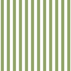 1/4 inch Candy Stripe in apple green and white  0.25 inch - 74