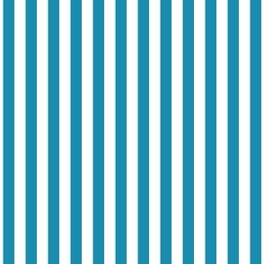1/4 inch Candy Stripe in bright teal blue and white  0.25 inch - 83