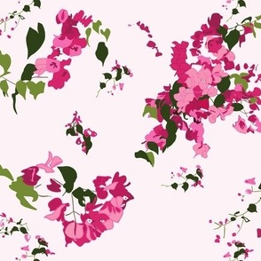 Bougainvillea Abstract light pink background 