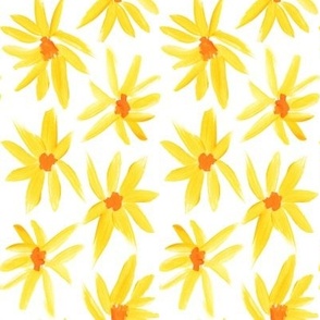 Sunshine yellow flowers on white background