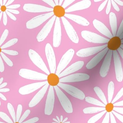 White Daisy Flowers on pink - Large