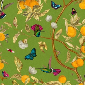 Hummingbirds, lemons and butterflies in apple green