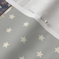 Stars on neutral background, blueberry pattern and drawn ruffles