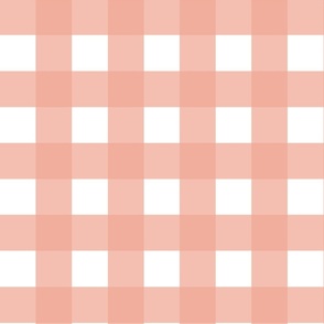 Pastel Collection Large Gingham 