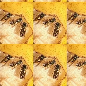 BEES FEASTING ON A BARTLETT PEAR-JUMBO-BASIC