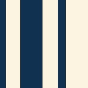 French country blue vertical stripe large