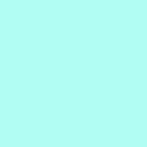 Plain Pastel Aquamarine Solid - Light Aqua Green - #B1FDF3