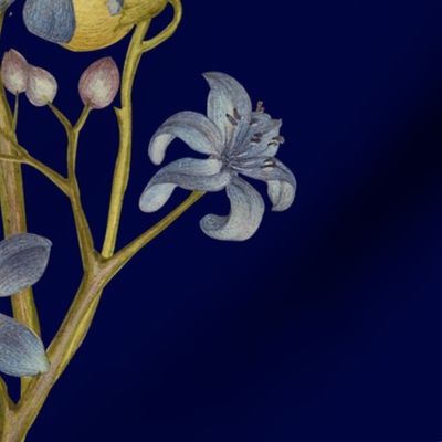Renaissance flowers on navy blue