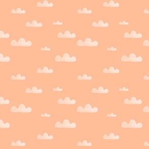 Clouds on peach fuzz - Pantone color 2024 - FFBE98 M