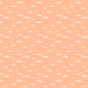 Clouds on peach fuzz - Pantone color 2024 - FFBE98 S