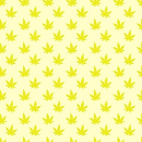 Cannabis Yellow on Yellow
