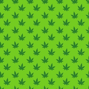 Cannabis Green on Green