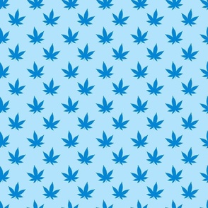 Cannabis Blue on Blue