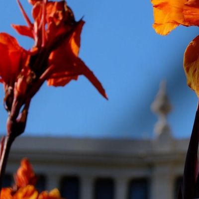 Carlton Gardens Melbourne