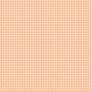 Peach fuzz grid lines