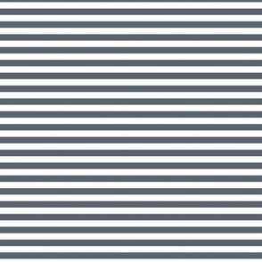 Horizontal Striped Fabric, Wallpaper and Home Decor