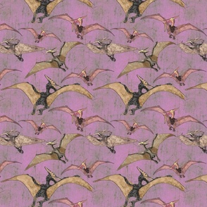 Small Pteranodon on pink background 