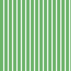 Christmas Stripes Green