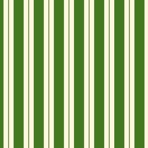 Green Stripes--Friend of the Earth coordinate