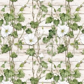 Farmhouse Country White Morning Glory Flowers on Wood Boards Distressed Mural Wallpaper Floral   