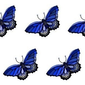Butterflies - Blue Karner - New Hampshire State Butterfly