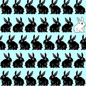 Black Rabbits and One White Rabbit in a Row on Turquoise