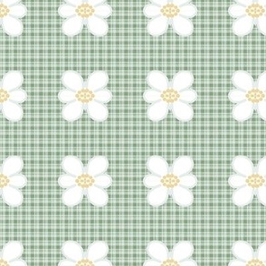 Green Daisy Plaid 