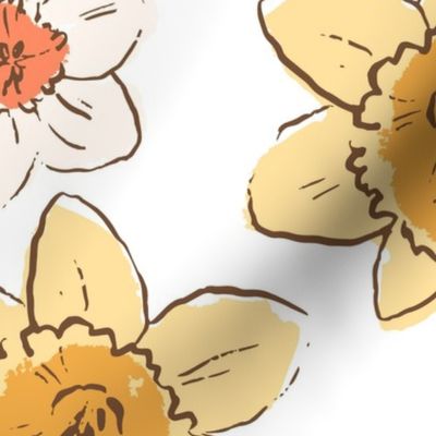 Daffodil sunshine wallpaper