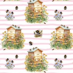 Honey Bees Hive