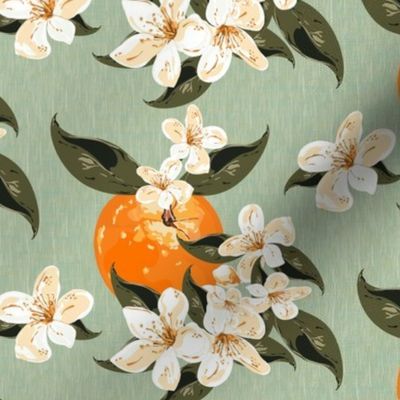 Orange Blossom Fruit Illustration with Painted Texture, Sweet Healthy Dessert Food, Orange Fruit, Kitchen Pantry Summer Fruits Fruit Pattern, Citrus Floral Blossom Tree Home Decor