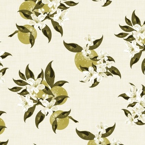 Kitchen Food Decor with Painted Texture, Monochromatic Fruit Pattern Toile Art Wallpaper, Cream Blossom Flowers, Lime Green White Fresh oranges, Granny Smith, Botanic Garden, Floral Fruit Pattern