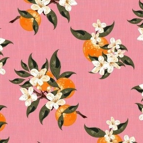 Blossom Flowers with Painted Texture, Pink and Orange Botanical, Sweet Summer Country Kitchen Dessert Food Decor, Green Pink Cream Blossom Floral, Blush Pink and Green Fruit Pattern, Kitchen Apron