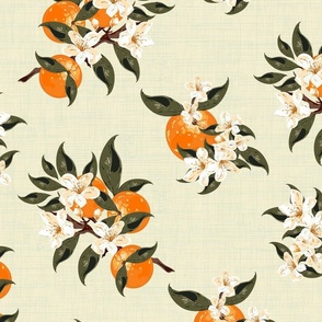 Beautiful Blossom Citrus Floral, Oranges and Flowers with Painted Texture, Cream White Kitchen Apron Fruit Pattern, Botanical Paradise Tropical Green Orange Linen Texture