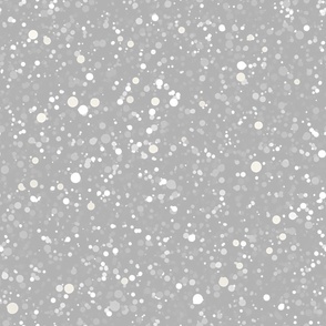 Silver Confetti Glitter  