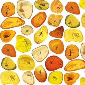 Insects in Amber