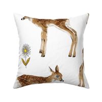 Large - Sweet Lil Fawns with Daisies - White Background