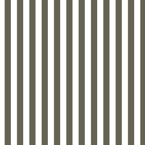 1/4 inch Candy Stripe in dark grey and white  0.25 inch - 96
